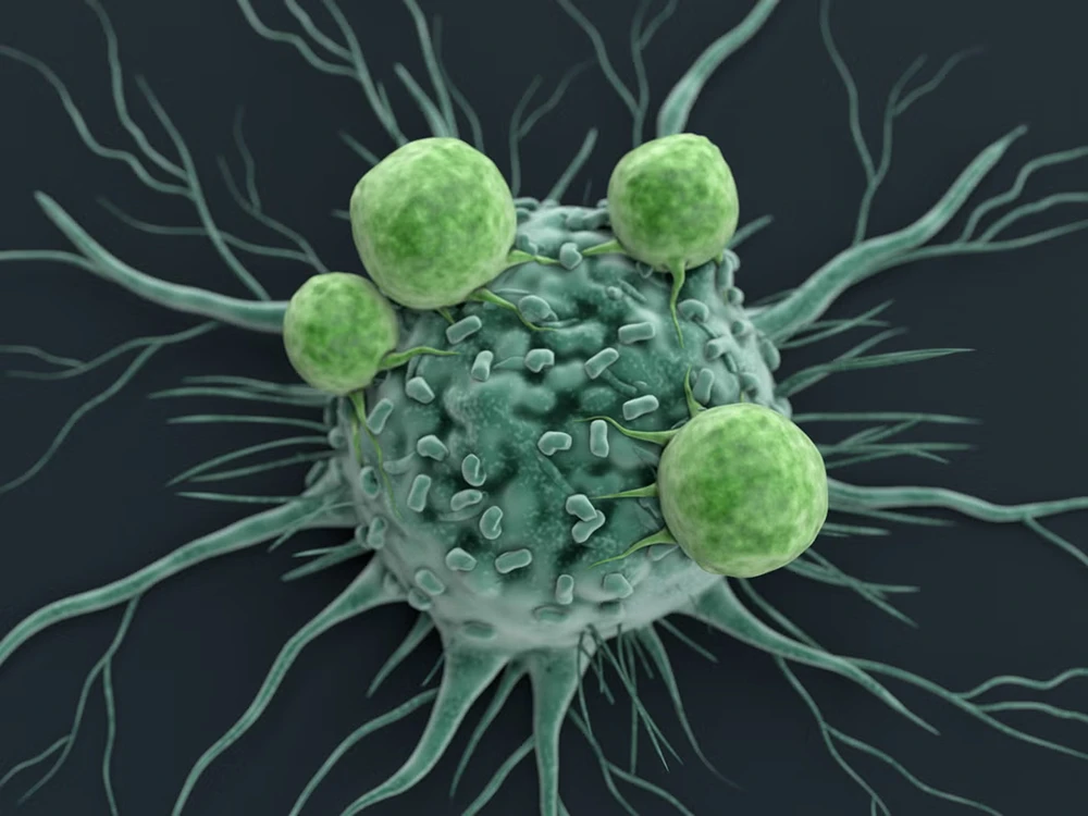 cancer-cell-attacked-by-lymphocytes-royalty